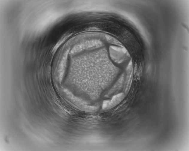 X0000102280099200808151937