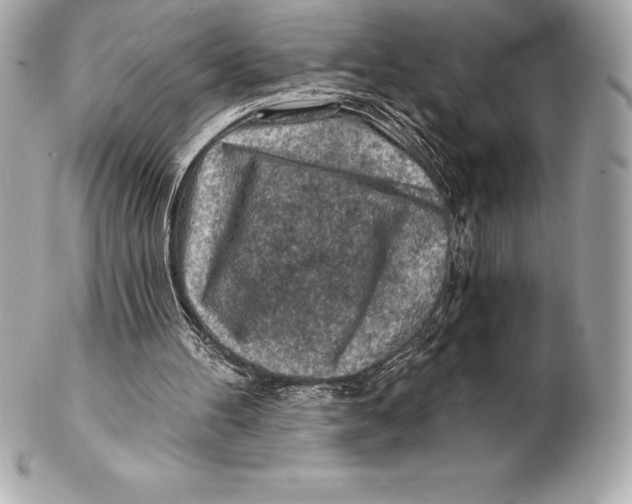 X0000102280100200808151937