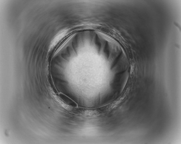 X0000102280101200808151937