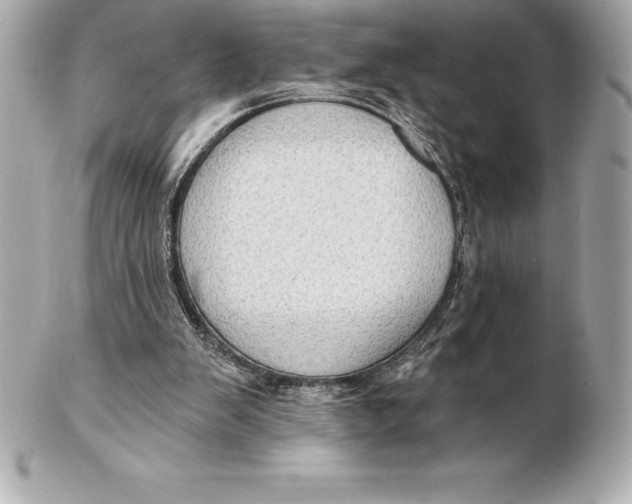X0000102280103200808151937