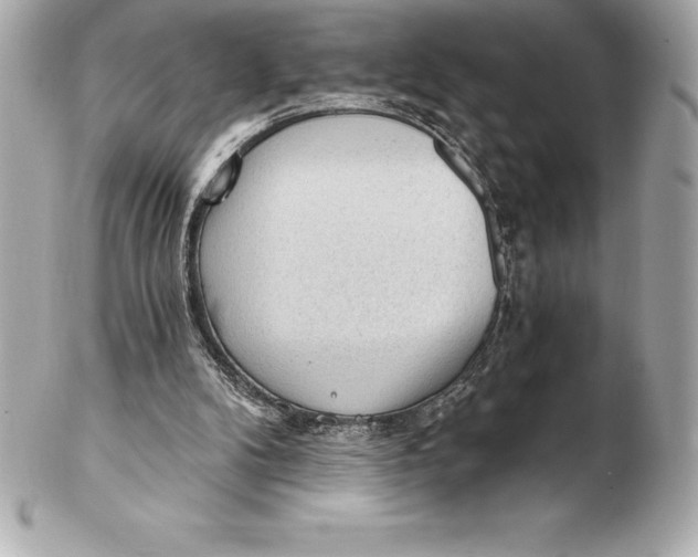 X0000102280104200808151937
