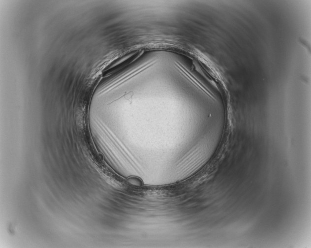 X0000102280105200808151937