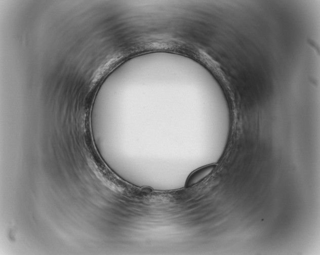 X0000102280106200808151937