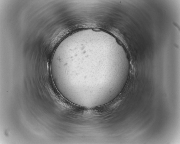 X0000102280109200808151937