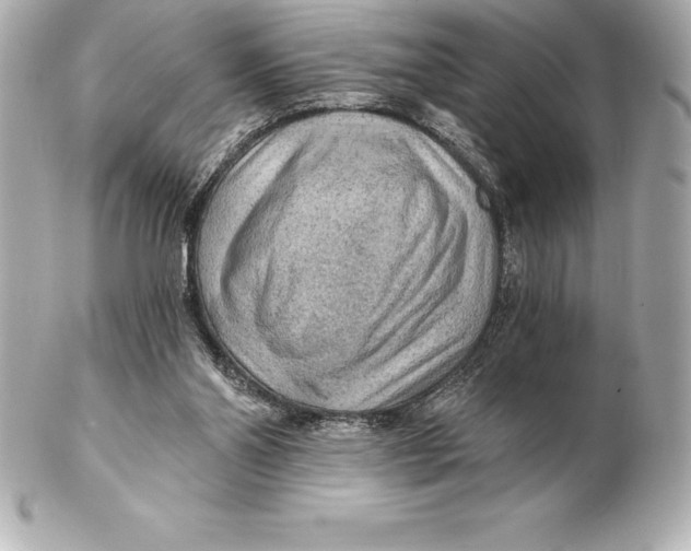 X0000102280110200808151937