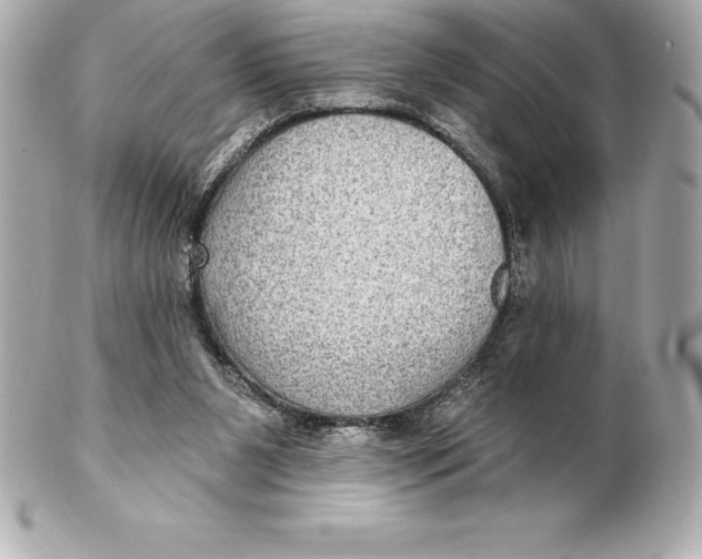 X0000102280111200808151937