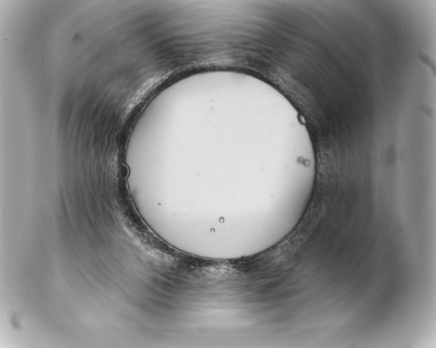 X0000102280112200808151937