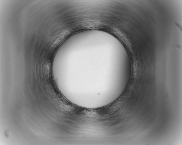 X0000102280113200808151937