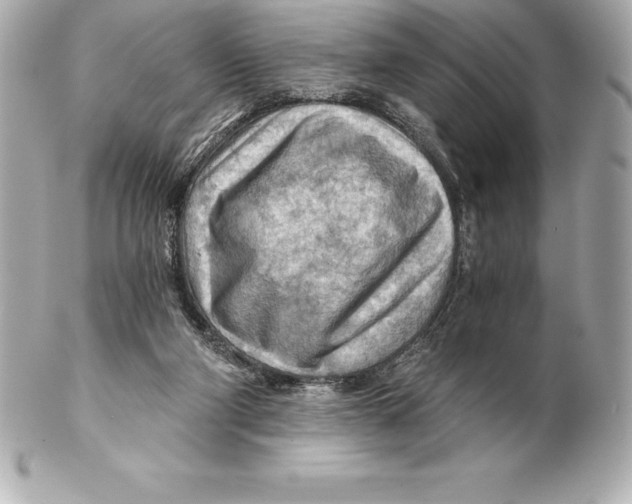 X0000102280114200808151937