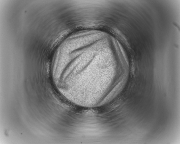 X0000102280115200808151937