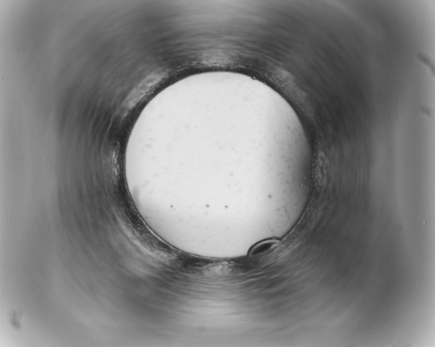 X0000102280116200808151937