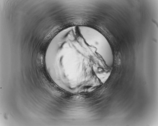 X0000102280117200808151937