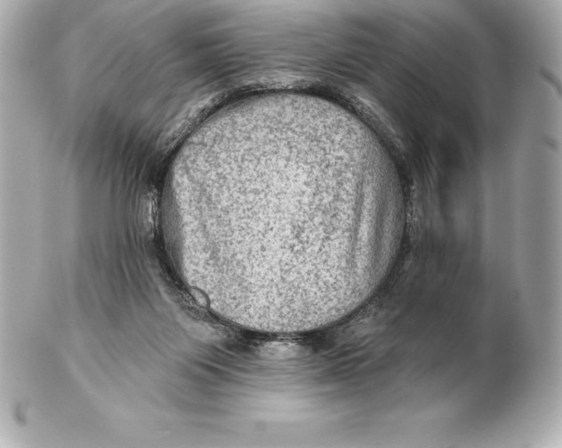 X0000102280119200808151937