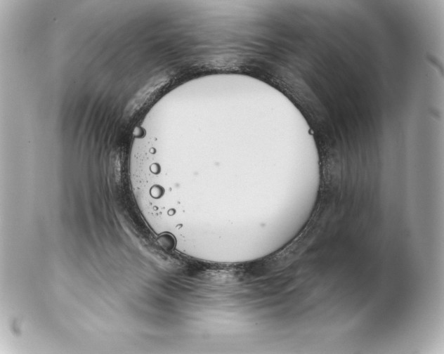 X0000102280120200808151937
