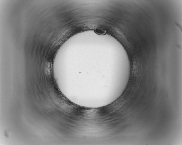 X0000102280122200808151937