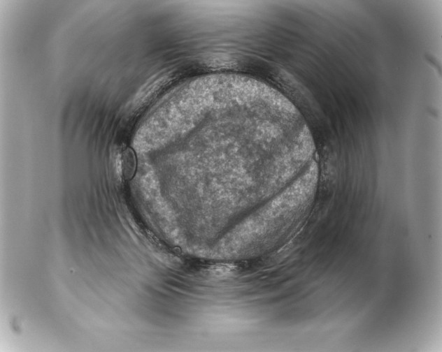 X0000102280124200808151937