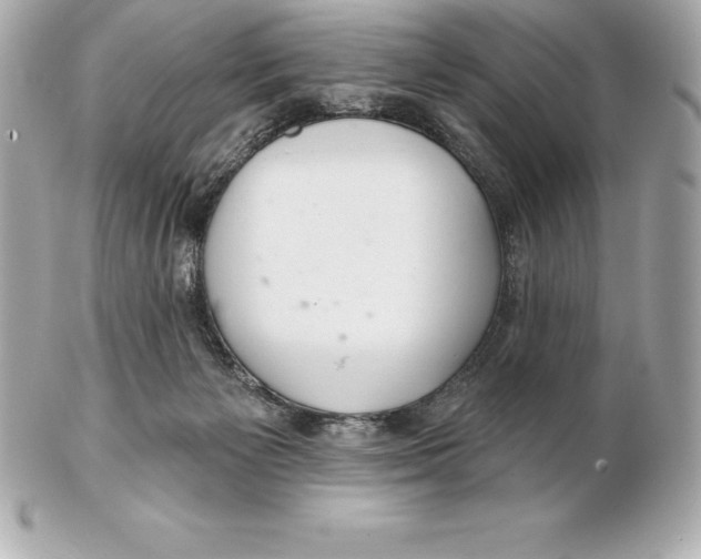 X0000102280125200808151937