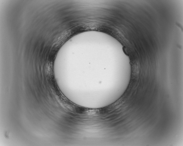 X0000102280126200808151937