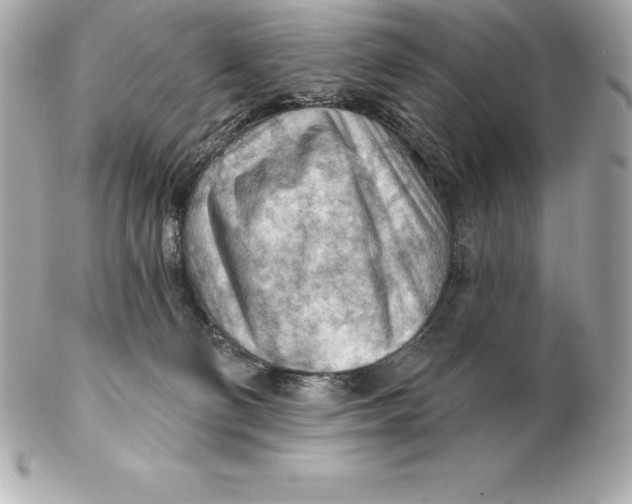 X0000102280130200808151937