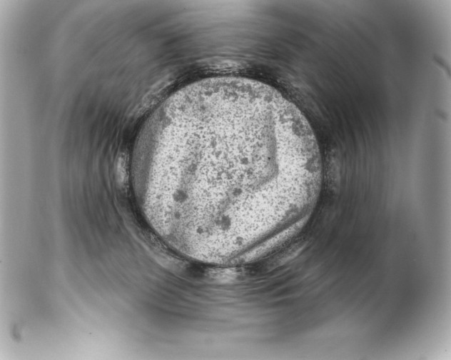 X0000102280131200808151937