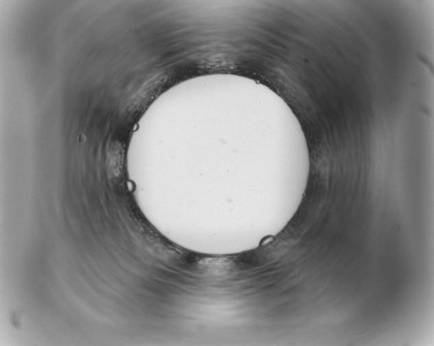 X0000102280133200808151937