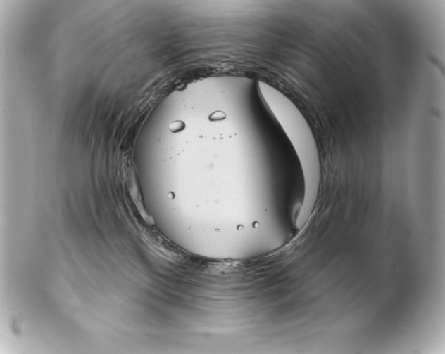 X0000102280136200808151937