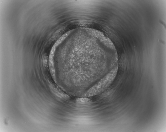 X0000102280137200808151937