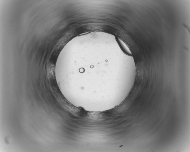X0000102280141200808151937