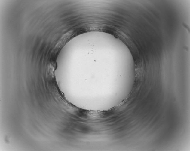 X0000102280142200808151937