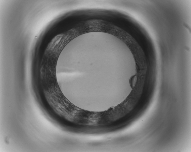X0000102280143200808151937