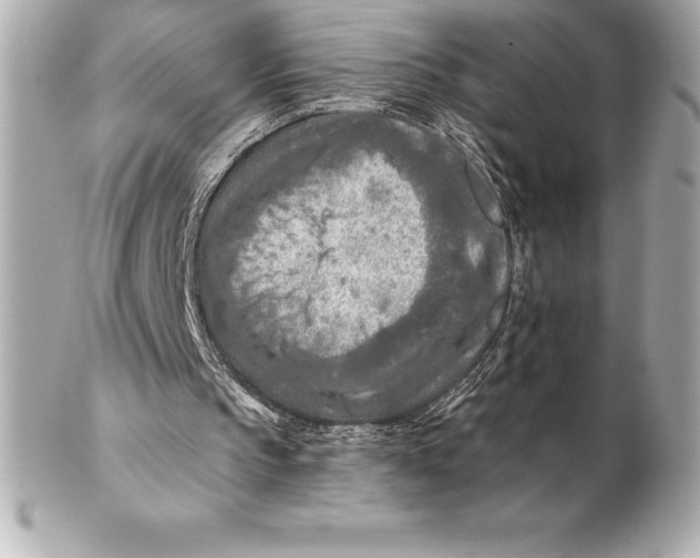 X0000102280145200808151936