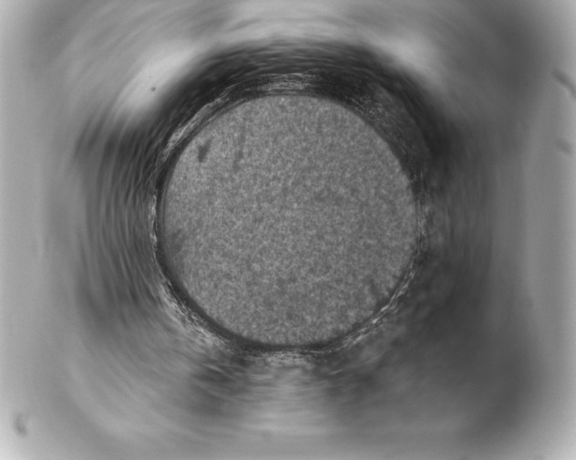 X0000102280146200808151936