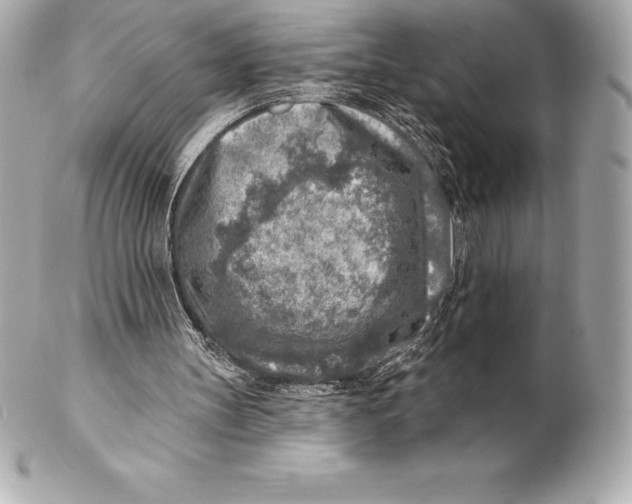 X0000102280147200808151936