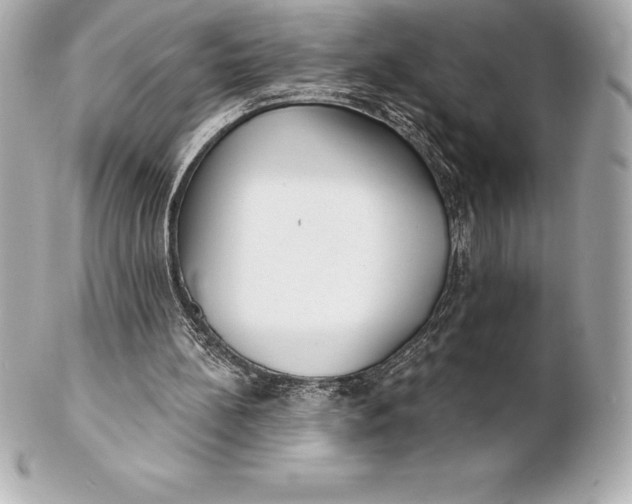 X0000102280148200808151936