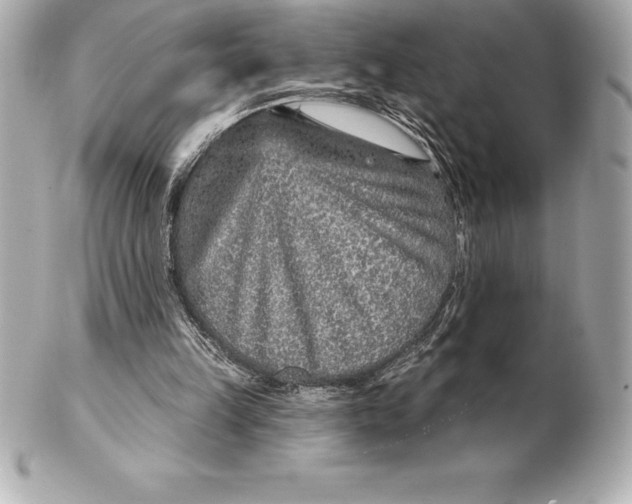 X0000102280149200808151936
