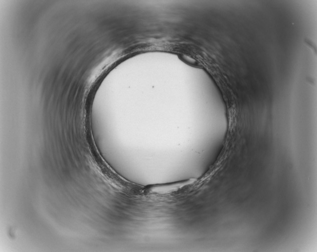 X0000102280150200808151936
