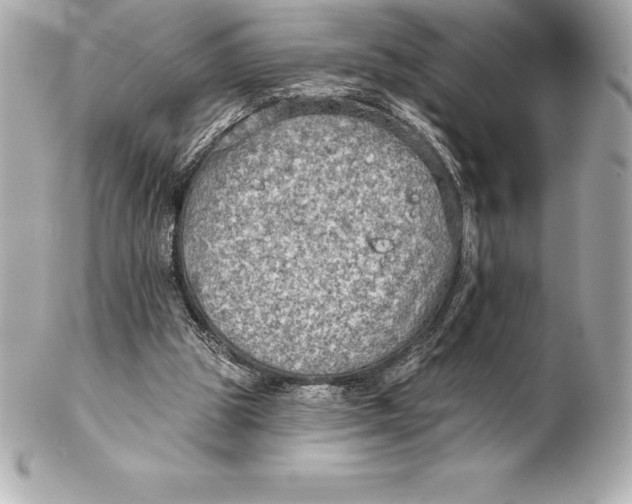 X0000102280153200808151936