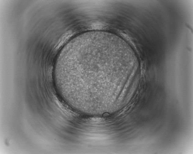 X0000102280154200808151936