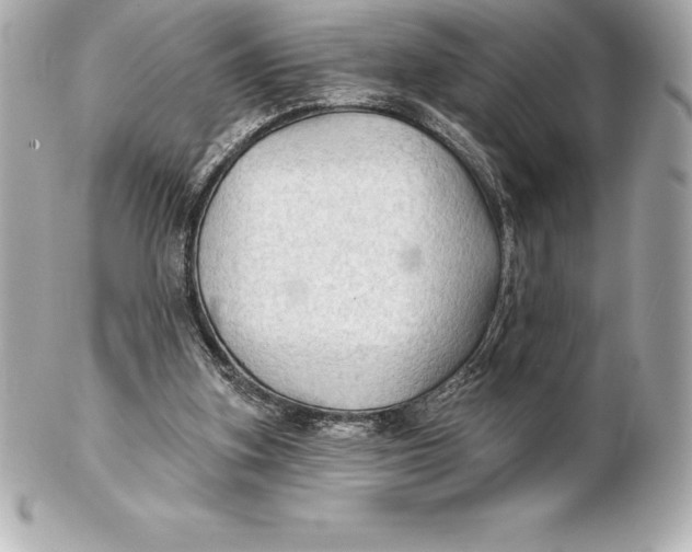 X0000102280155200808151936
