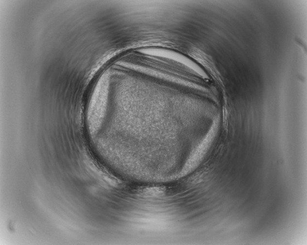 X0000102280156200808151936