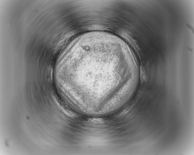 X0000102280157200808151936