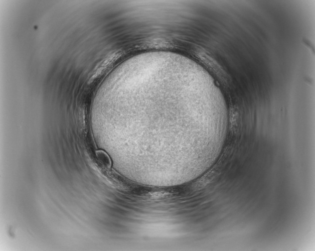 X0000102280158200808151936
