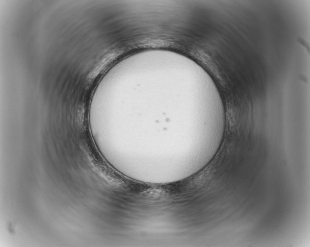 X0000102280159200808151936