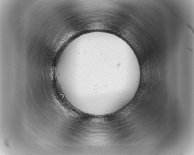 X0000102280160200808151936