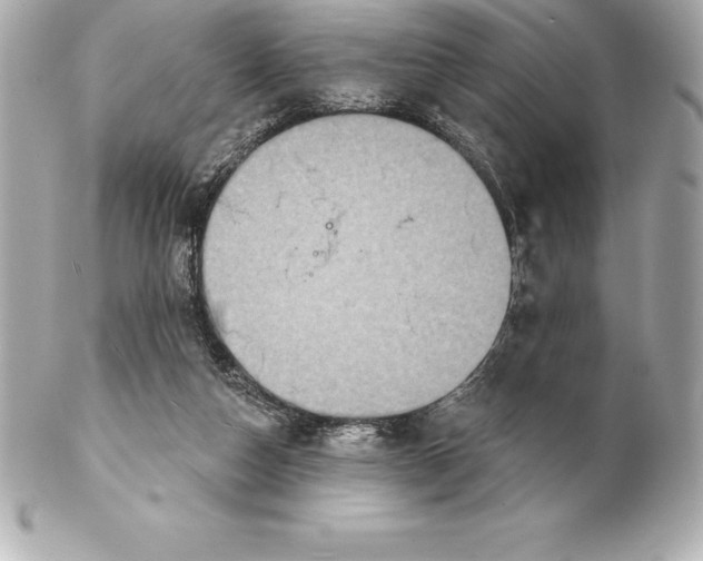X0000102280162200808151936