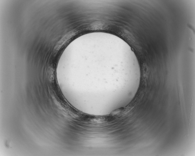 X0000102280164200808151936