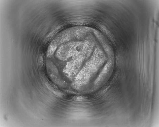 X0000102280165200808151936