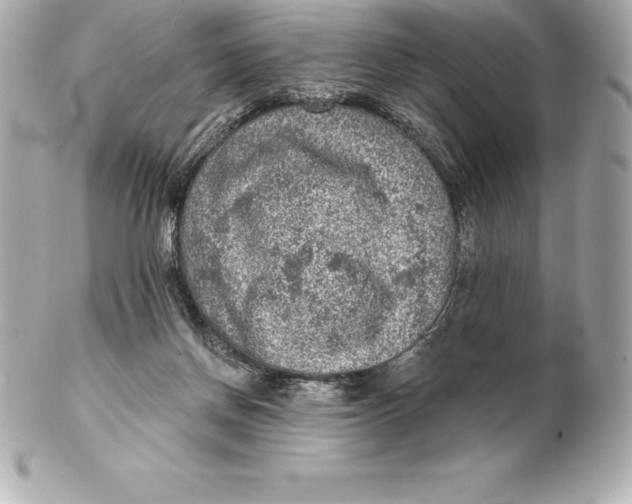 X0000102280166200808151936