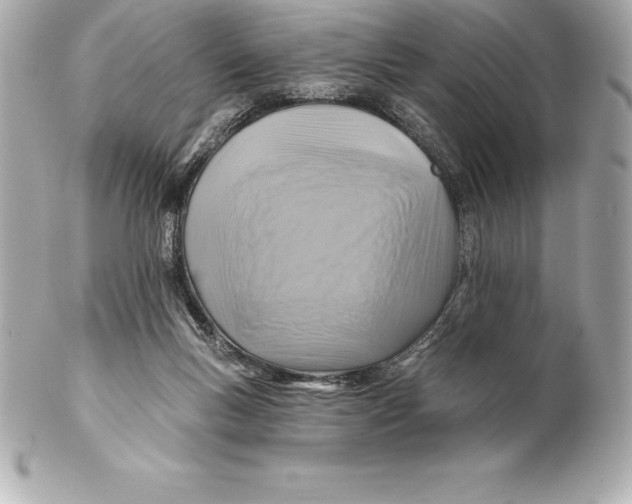 X0000102280167200808151936