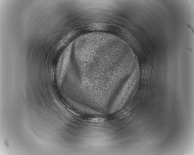 X0000102280168200808151937